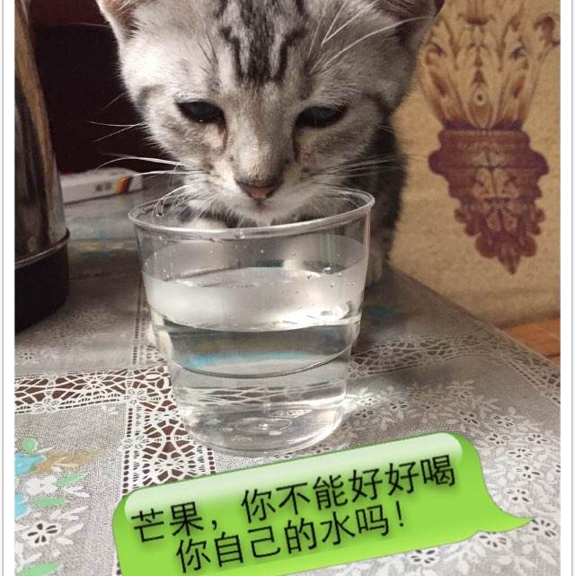 办假的俄克拉何马州ID